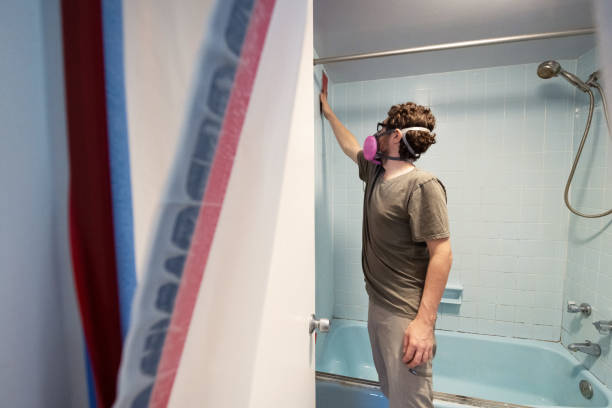  Geneva, OH Mold Removal Pros